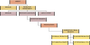 Juvenile Defense Process